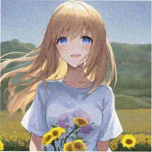 听友青禾的头像